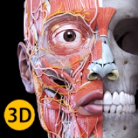 Anatomie : Atlas 3D